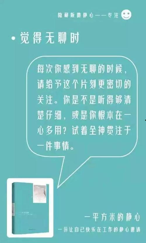 静心 第二章3D,第二章3D探索心灵奥秘的视觉之旅
