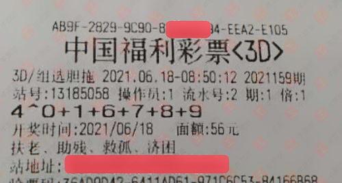 红五3d彩报图库,精彩瞬间回顾