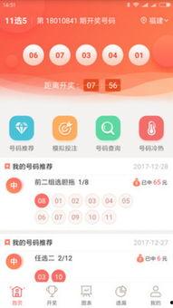 11选5河北省开奖结果,最新结果揭晓，精彩瞬间回顾